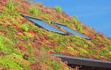 Linburn living roof systems