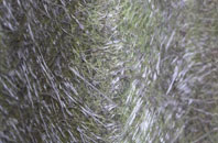 Linburn fibreglass roof work