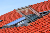 Linburn roof window